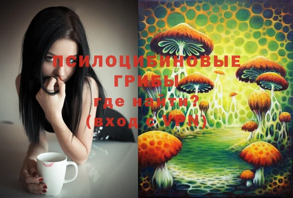 дживик Вязьма