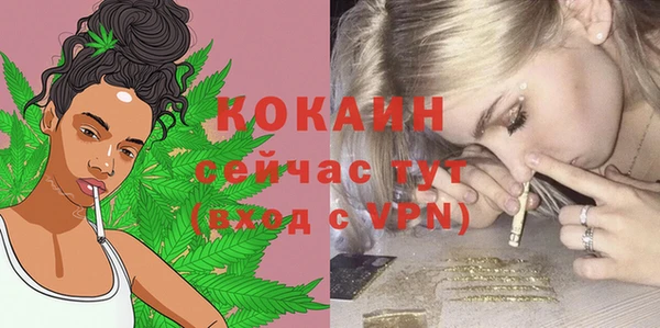дживик Вязьма