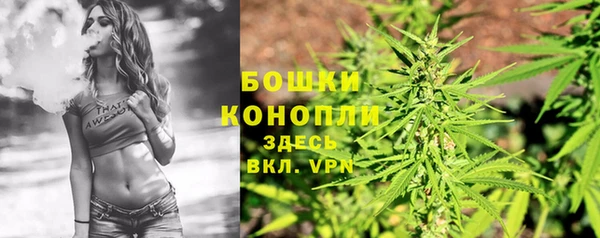мдпв Бугульма